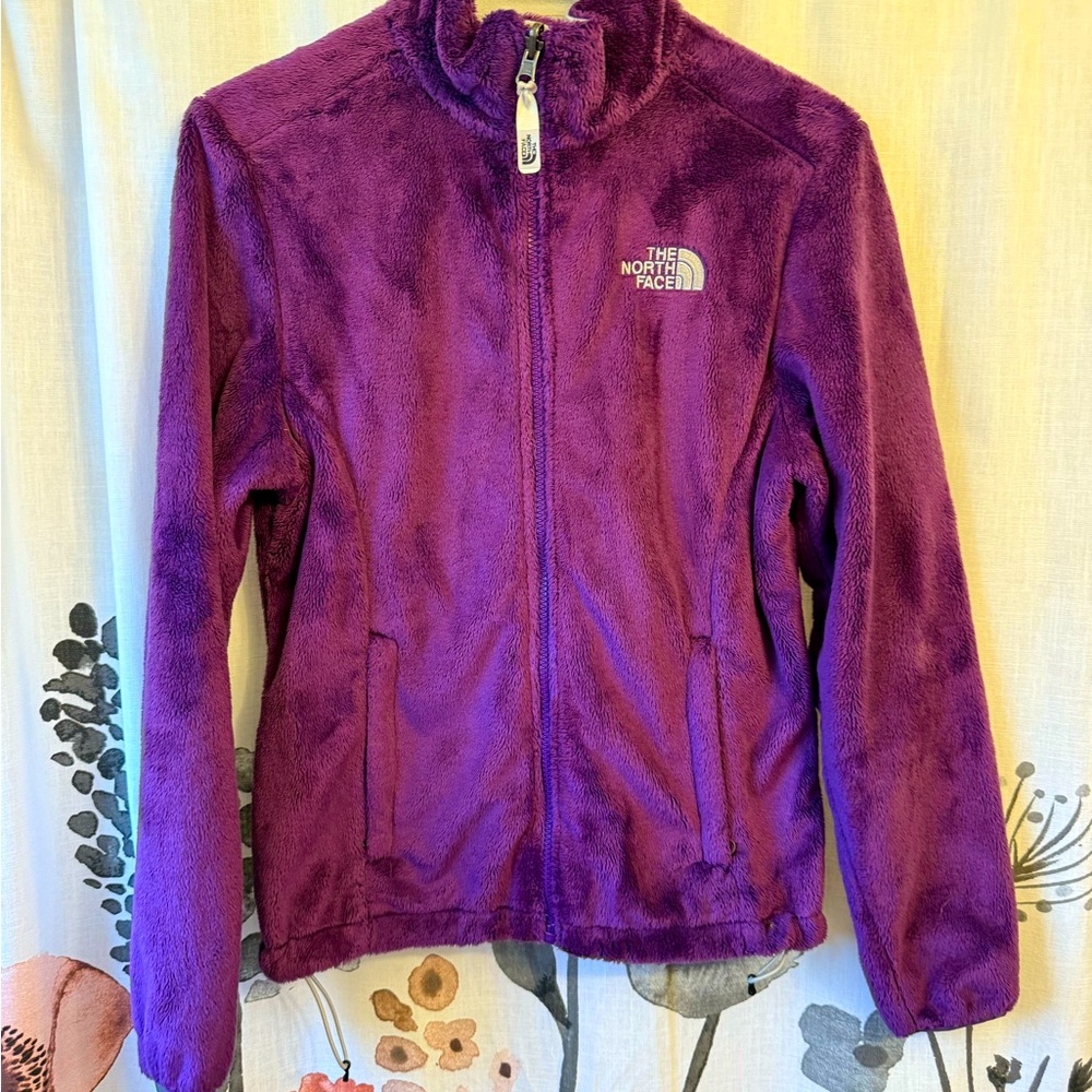 The North Face Fleece Purple Jacket